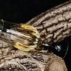 Kieliszek degustacyjny do whisky - Amber Glass model G120 - obrazek 3
